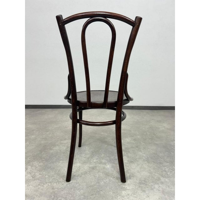 Bentwood No. 54 Chair attributed to Thonet, 1920s For Sale - Image 10 of 11