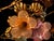 1980s Pink Murano Glass Floral Chandelier, 1980s For Sale - Image 5 of 14