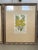 Vintage Botanical Chromolithograph, Set of 3 For Sale In West Palm - Image 6 of 9