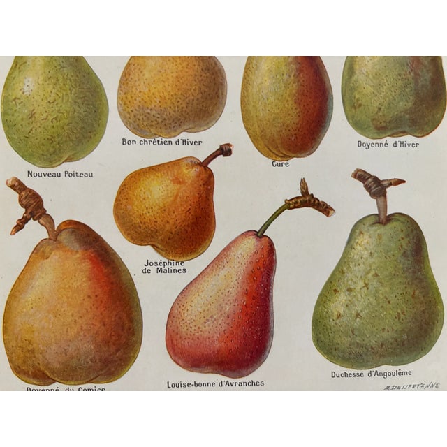 Chart with Fruit by Maurice Dessertenne For Sale - Image 3 of 5
