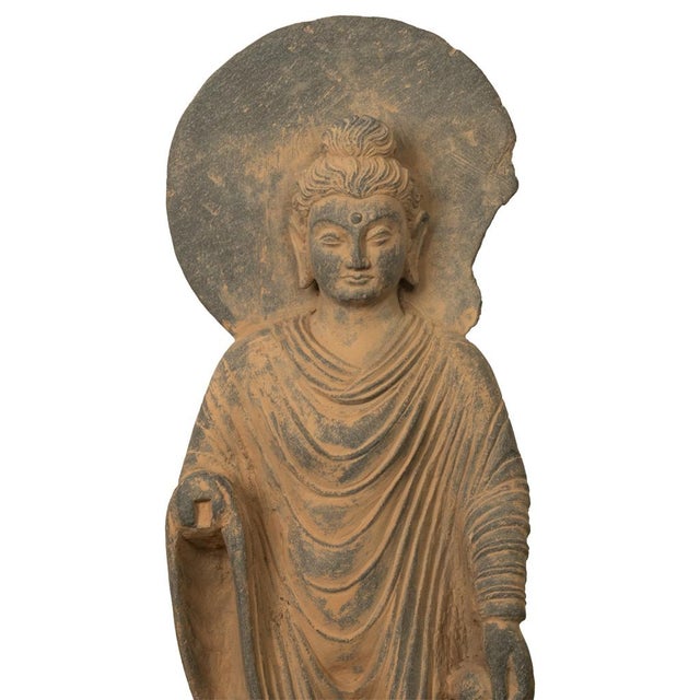 Ancient Indian Carved Stone Gandharan Shakyamuni Buddha Statue 2nd Century a.d. For Sale - Image 10 of 12