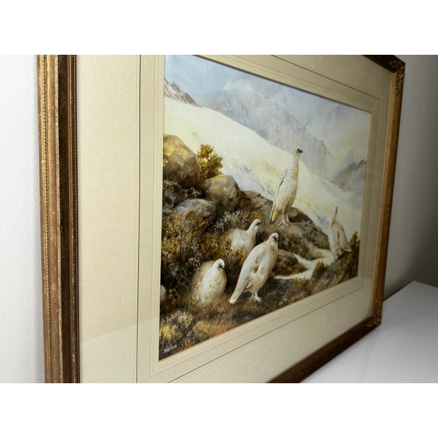 Ornithology Watercolor Highland Moors Wildlife Covey of Ptarmigan Game Birds by Neil Cox For Sale - Image 6 of 12