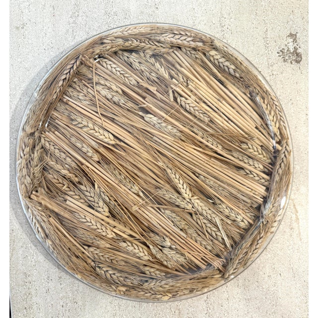 French Vintage Christian Dior Lucite Wheat Tray For Sale - Image 3 of 8