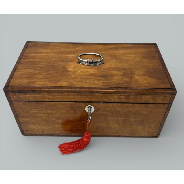 Early 19th Century Antique English Satinwood Wooden Georgian Regency Double Tea Caddy 19th Century For Sale - Image 5 of 10