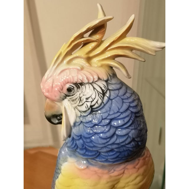 Blue Porcelain Parrot Figurine by Karl Ens, Saxe, 19th Century For Sale - Image 10 of 12
