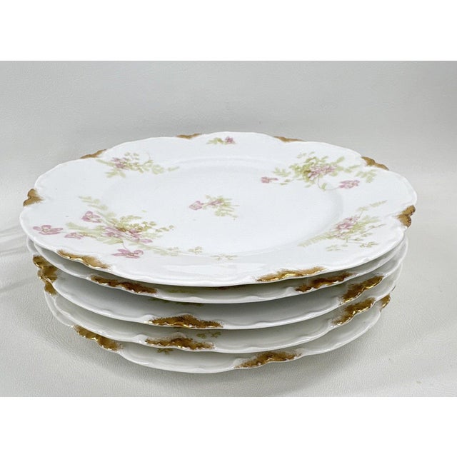 White Antique Haviland & Elite Works Limoges Mixed Floral Collection - 12-Piece For Sale - Image 8 of 14