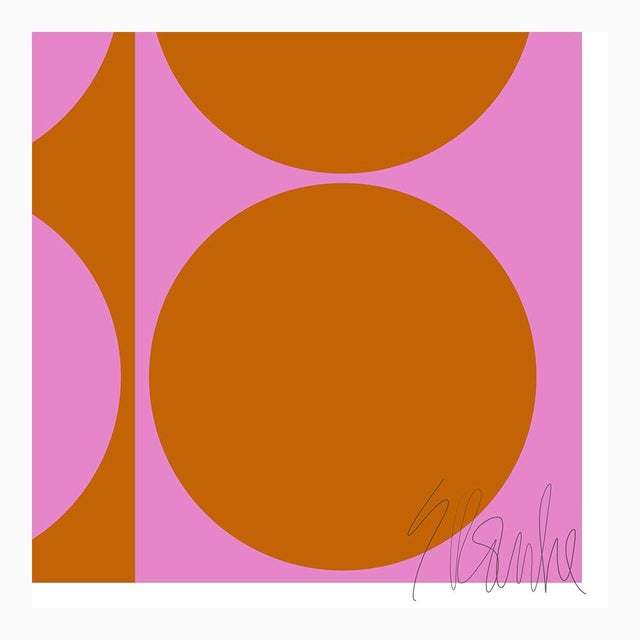 Not Yet Made - Made To Order Dynamic Pair Pink and Amber Fine Art Print 21.25" X 30" by Liz Roache For Sale - Image 5 of 6