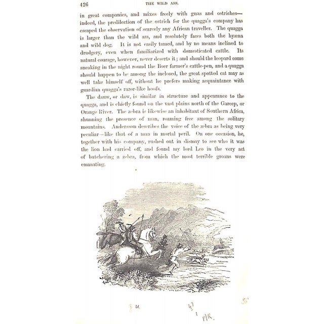 "Wild Sports of the World: A Boy's Book of Natural History and Adventure" 1862 Greenwood, James For Sale - Image 11 of 12