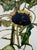 Egon Schiele, Sunflowers, 1917, Print For Sale - Image 9 of 13