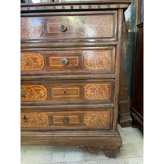 Brown Veronese Chest of Drawers, 1600s For Sale - Image 8 of 9