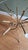 French Hollywood Regency Gold Sheaf of Wheat Accent Table For Sale - Image 3 of 9