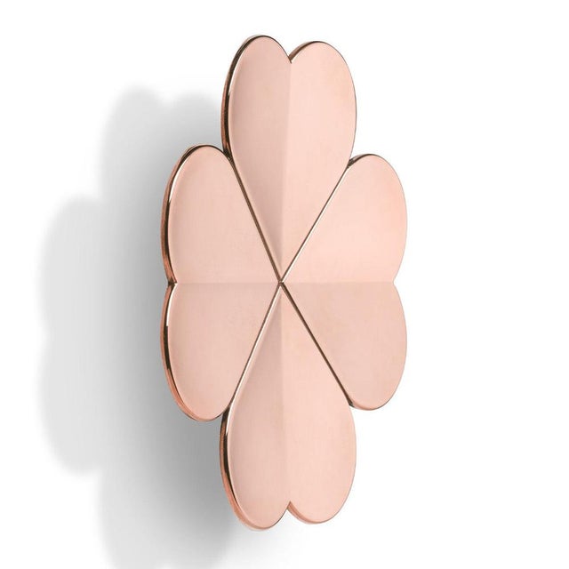 Lucky Pink Burnished Brass Single Coat Hook by Richard Hutten For Sale - Image 4 of 4