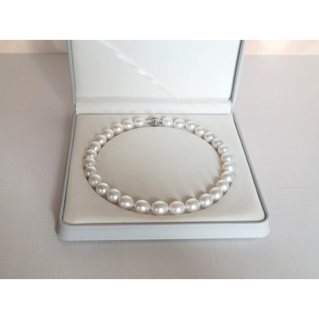 South Sea White Pearl Necklace With 14k Gold Clasp For Sale - Image 11 of 11