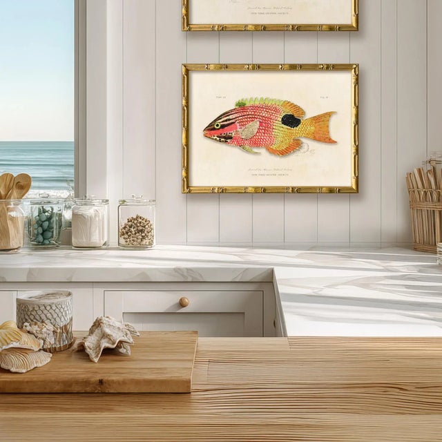 This is print (2) from our "Vintage Fish" series. Please note there are 4 images in this series, see our listings for the...