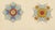 Plate XVII Orders of Brunswick and Order of Henry the Lion Insignia, 1844 For Sale - Image 4 of 9