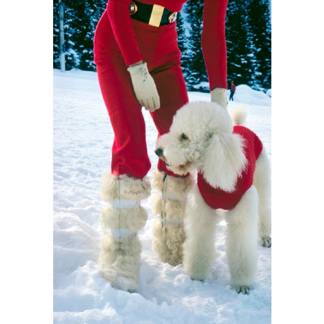Courchevel by Toni Frissell Annik Schäffler and her dog on the mountains of Courcheval, 1970. (Toni Frissell) Archival...