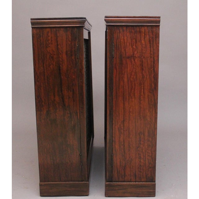 Early 19th Century Rosewood Cabinets, 1830, Set of 2 For Sale - Image 11 of 13