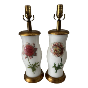 Pair of Adorable Botanical Lamps