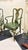 Mid-Century Chinoiserie Green Leather Arm Chairs - Queen Anne Style For Sale In Greensboro - Image 6 of 10