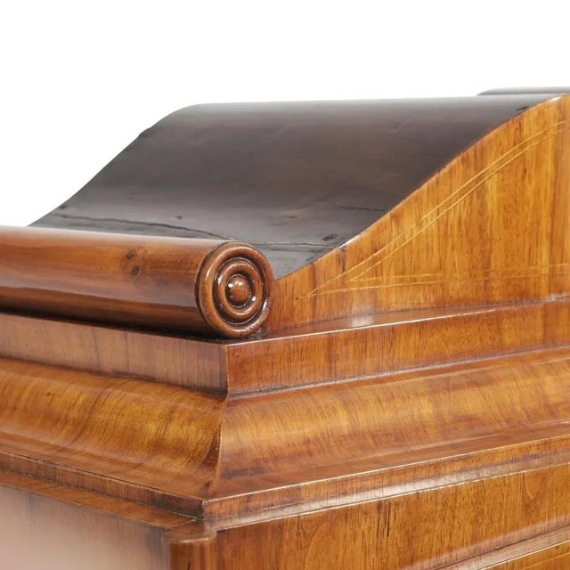 Purple Biedermeier Books Showcase in Mahogany, 1820s For Sale - Image 8 of 11