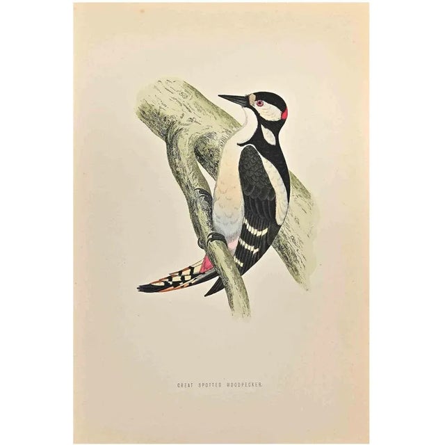 Great Spotted Wodpecker is a modern artwork realized in 1870 by the British artist Alexander Francis Lydon (1836-1917)....