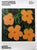 Andy Warhol Flowers Exhibition Poster Sonnabend Collection Palazzo della Ragione (Mantua) Dimensions: 19.6 x 27.5 / 50 x...