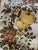 Mid-Century Modern 1970s Striped Wallpaper Fruits and Berries 9 Yds For Sale - Image 3 of 6