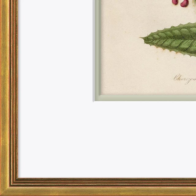 Archival Giclee Print. High quality materials and craftsmanship. Artisian handcrafted wood moulding imported from Europe....