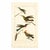 19th-Century Hummingbird Study | Set of 4 Buffon Hand-Colored Antique Bird Prints For Sale - Image 4 of 6