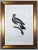 Madame Pauline Knip Engraving of a Pigeon, Columba Palumbus (Colombe Ramier) For Sale In Philadelphia - Image 6 of 6