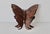 Vintage Metal Cut-Out Wing Design Butterflies Wall Hanging-Set of 3 For Sale - Image 9 of 11