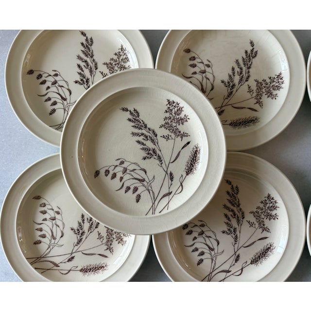 Illustration Mid 20th Century Small J&g Meakin Plates From Staffordshire - Set of 10 For Sale - Image 3 of 10