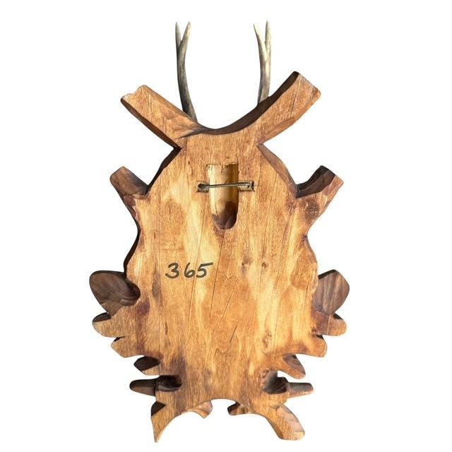 1970s 1970s Roe Deer Trophy 191 Black Forest Antlers For Sale - Image 5 of 6