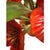 Vintage Italian Tole Red Poppy Flowers / Floral Poppies Arrangement Sculpture in Pot, Made in Italy For Sale In Dallas - Image 6 of 8