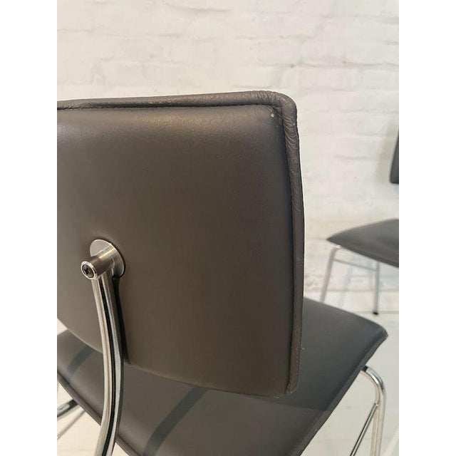 Sparta Chairs in Leather by Christoph Hindermann for Dietiker, 1990s, Set of 6 For Sale - Image 11 of 15