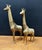 Cute pair of cast brass giraffes with stylized spots, made circa 1970's. Taller of the pair measures: 18.5" high x 9" deep...