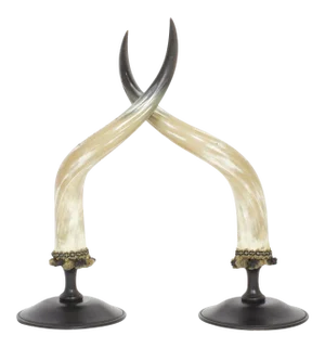 Mid-Century Large and Polished Horns on Mounts - Pair