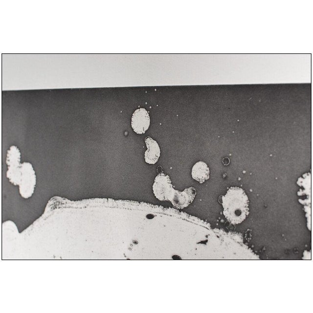 Sam Francis 1970s Island Plate (I.4; SFE.1H), Sam Francis For Sale - Image 4 of 7