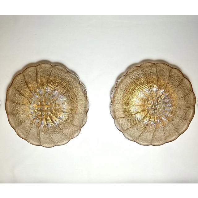 Vintage Amber Glass Ceiling Lights, Set of 2 For Sale - Image 4 of 11