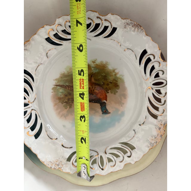 Early 20th Century Antique European Game Bird Cabinet Plates, Partridge & Pheasant Trio For Sale - Image 5 of 6