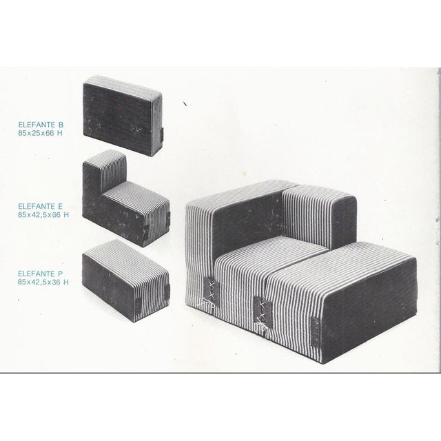 Metal Set of Elefante Sofas by Roberto Pamio, 1973 For Sale - Image 7 of 17