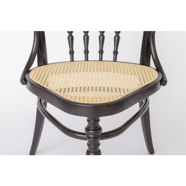 Mid-Century Style Black Beech Bentwood Armchairs with Vienna Cane Seats, 1990s, Set of 2 For Sale - Image 4 of 13