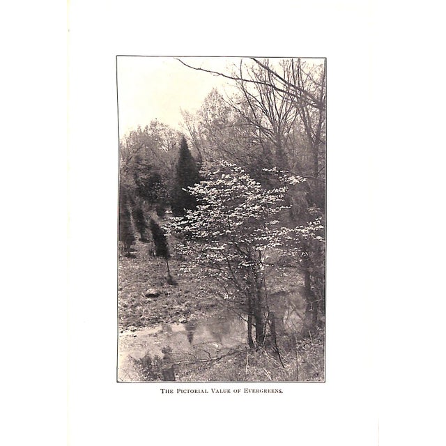 "The Garden, You, and I" 1910 Barbara For Sale In New York - Image 6 of 6