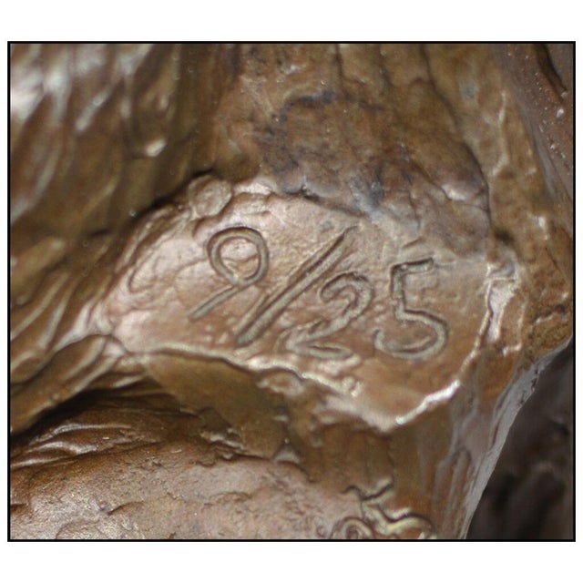 Late 20th Century Feathered Fury, Bill Girard For Sale In Minneapolis - Image 6 of 7