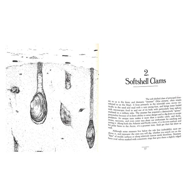 "The Compleat Clammer" 1986 Reaske, Christopher R. For Sale - Image 4 of 7