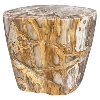 Andrianna Shamaris Impressive High Quality Ancient Petrified Wood Side Table For Sale