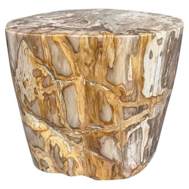 Andrianna Shamaris Impressive High Quality Ancient Petrified Wood Side Table For Sale