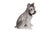 1970s Gray Ceramic Schnauzer Dog Figure For Sale - Image 5 of 11