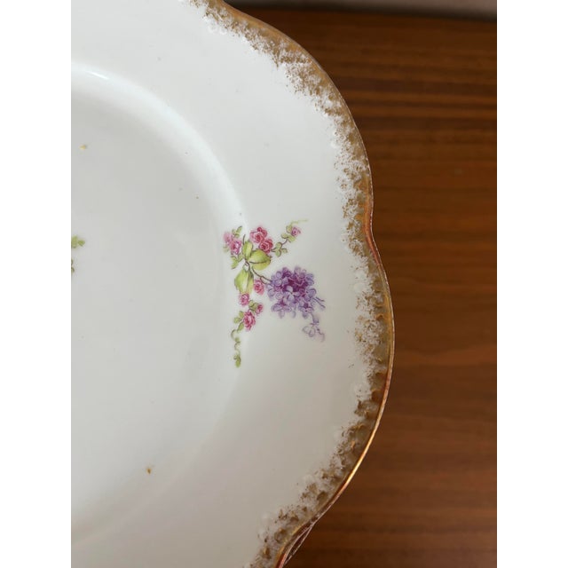 Ceramic Vintage Porcelain Plates, 1950s, Set of 12 For Sale - Image 7 of 18