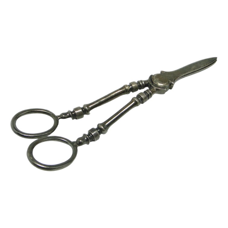 Art Nouveau Danish Scissors for Grapes, 1920s | Chairish